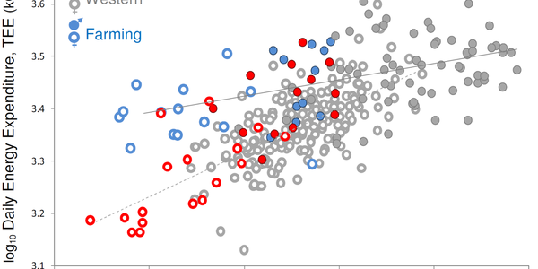 Article teaser image