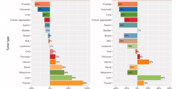 Thanks Science: New Cancer Drugs Led To A Reduction In Mortality Of 24% In The US Since 2000