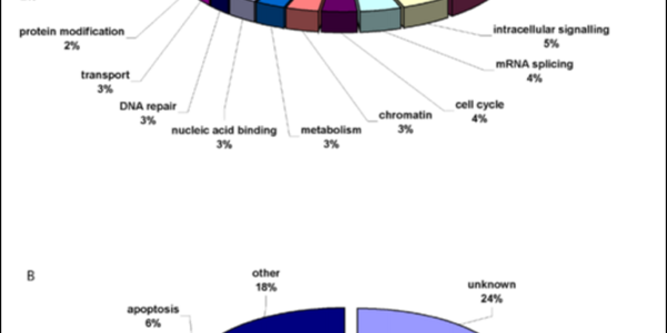 Article teaser image