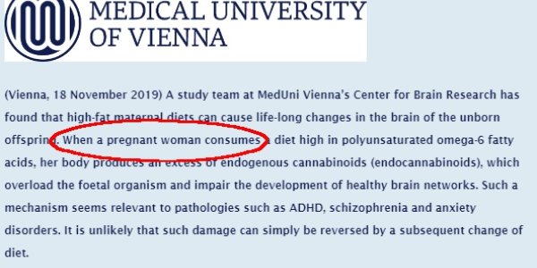 Mouse Study Claims Mediterranean Diet Causes Endogenous Cannabinoid Changes Which They Link To ADHD In Human Offspring