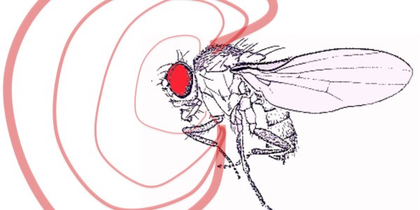 Homeopathic Effects Of Pesticides? And Climate Change Will Make It Worse