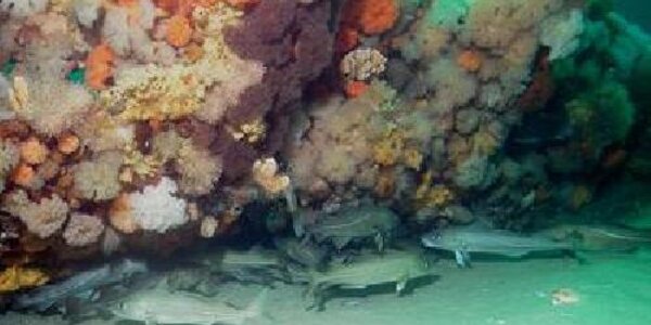 Article teaser image