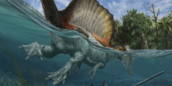 Article teaser image