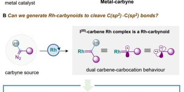 Sticks And Stones May Break Your Bones But This Carbene/Carbocation Reaction Edits Molecular Skeletons