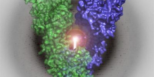 Article teaser image