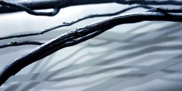 Article teaser image