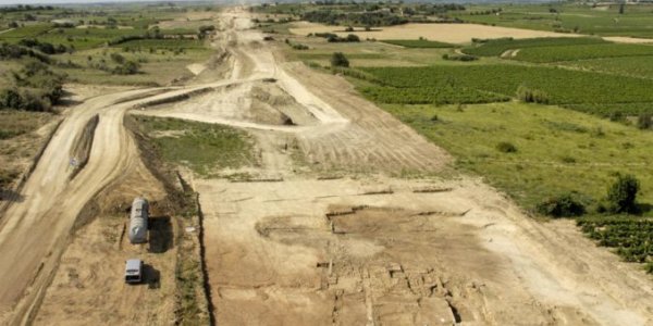 Researchers Have Found A Wine Grape Once So Prized No One Genetically Modified It For 900 Years