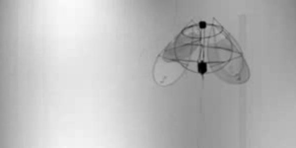 It's A Bird! It's A Plane! It's A . . . Jellyfish?