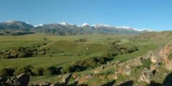 Article teaser image