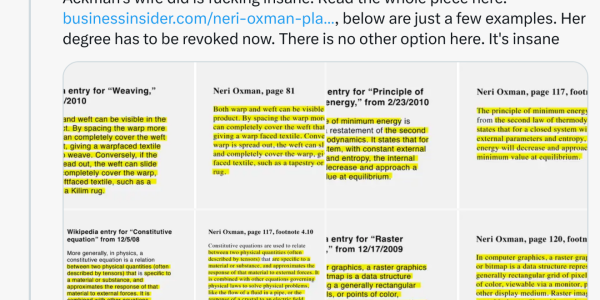 What Is And Is Not Plagiarism In Scientific Papers?  Neri Oxman And Claudine Gay Did Nothing Seriously Wrong.   A Basic Guide To Citation.