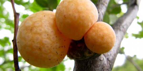 Article teaser image