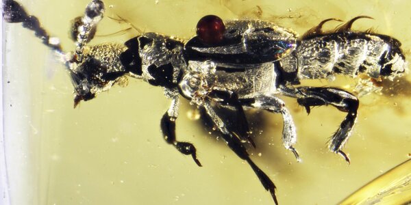 Article teaser image