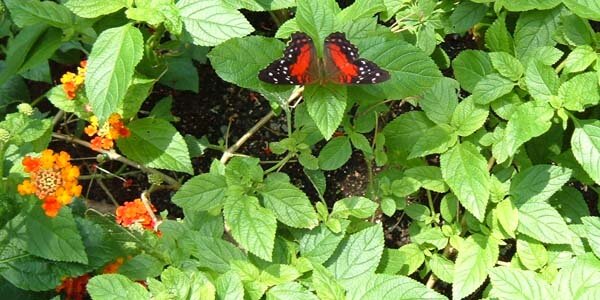 Article teaser image