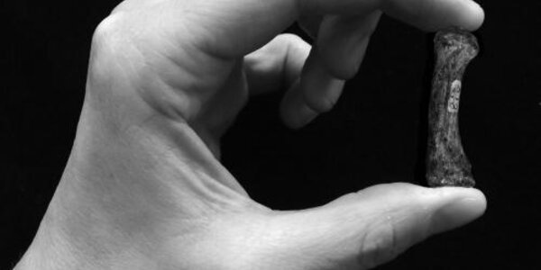 Article teaser image