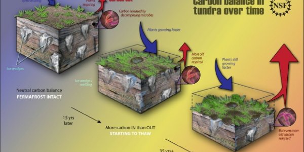Arctic Double Whammy - Carbon Release From Thawing Permafrost Could Be Greater Than Carbon Capture Of New Greenery