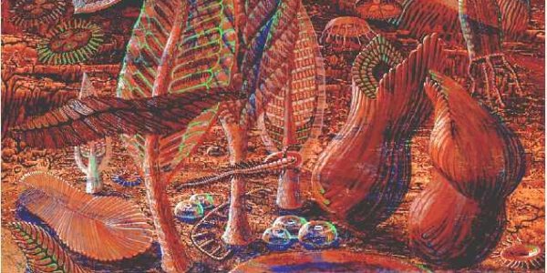 Our Human Ancestors Had Tentacles