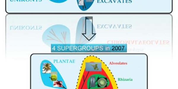 Article teaser image