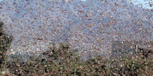 Article teaser image