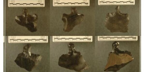 Article teaser image