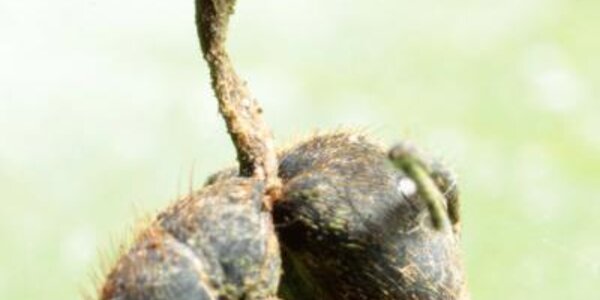 Article teaser image