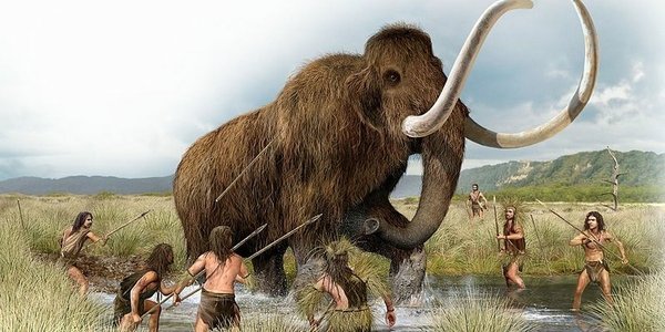 A Million-Year-Old Mammoth May Hold The Key To The Future Of Food