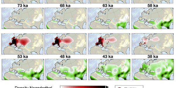 Article teaser image
