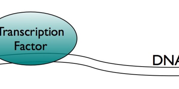 Article teaser image