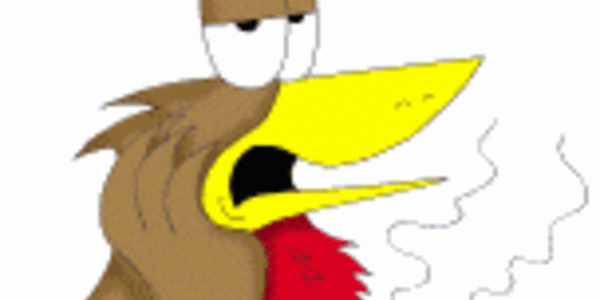 Article teaser image