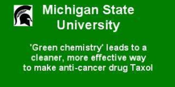 Article teaser image