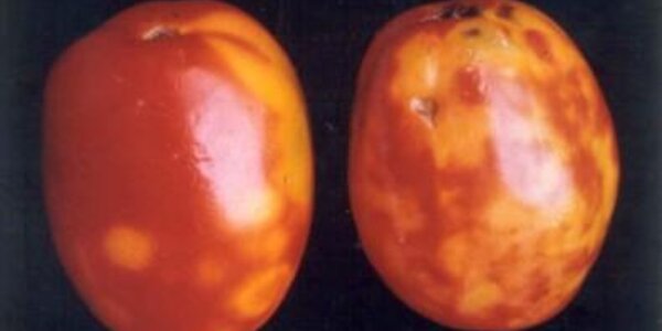 Article teaser image