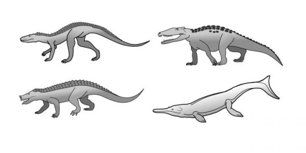 Why Haven't Crocodiles Evolved Much Since The Age Of The Dinosaurs?