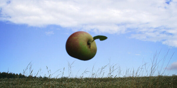 Article teaser image