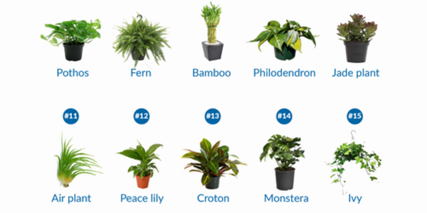 Article teaser image