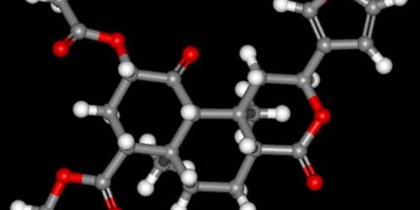 Article teaser image