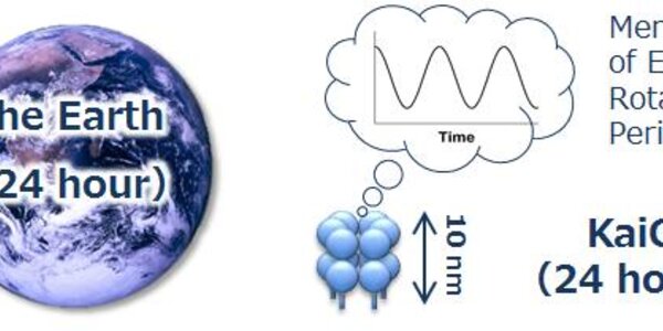 Article teaser image