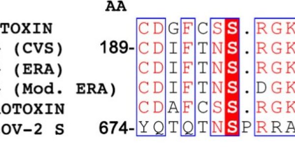 Does Nicotine Prevent COVID Transmission? France Might Begin Clinical Trials