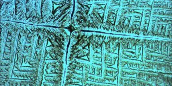 Article teaser image