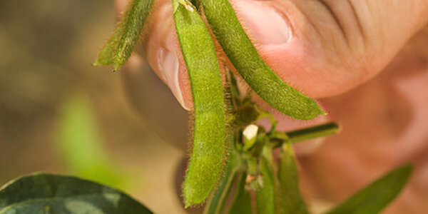 Article teaser image