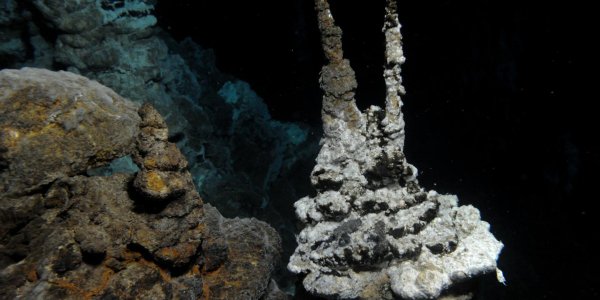 Is Loki The Missing Link In The Evolution Of Complex Cells?