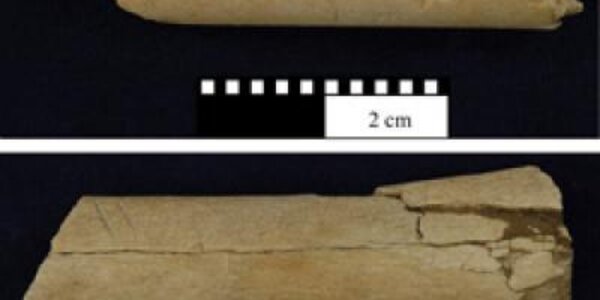 Article teaser image