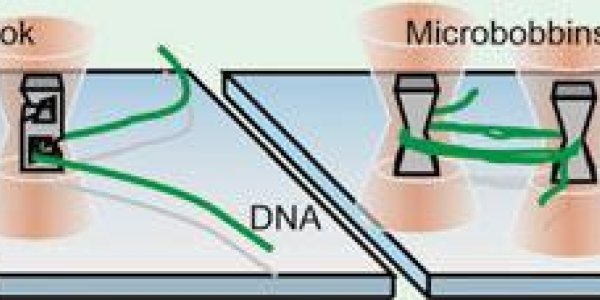 Japanese Scientists Make Micro-Sized DNA 'Sewing Machine'