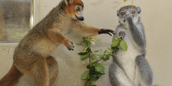 Article teaser image