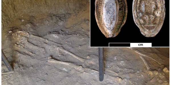 Article teaser image