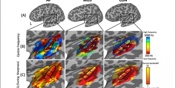 The Genetics Of Having Perfect Pitch