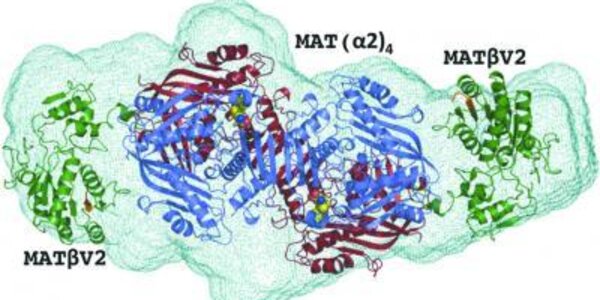 Article teaser image