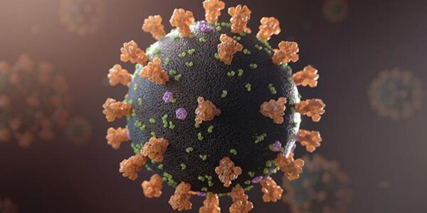 Article teaser image