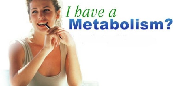 Simulating Human Metabolism To Find New Better Treatment Methods