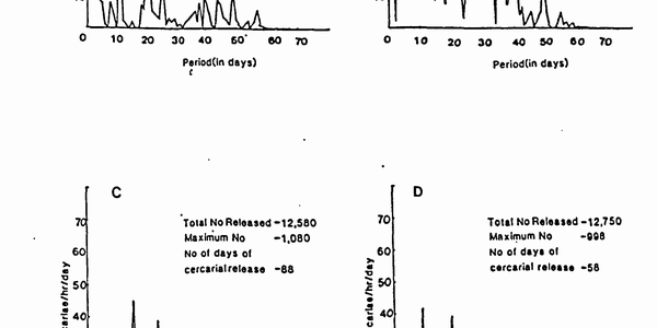 Conservationists Move Species To Create Natural 'Fixes' To Problems, And Sometimes Create Pandemics