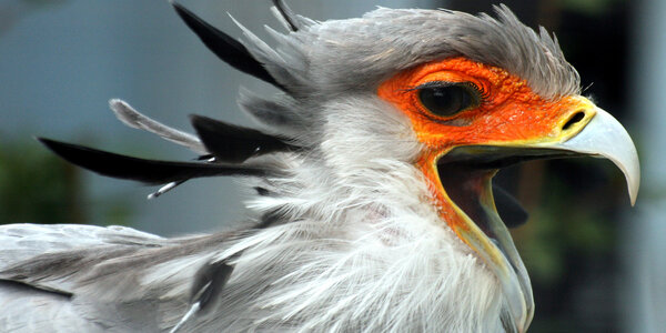 Article teaser image