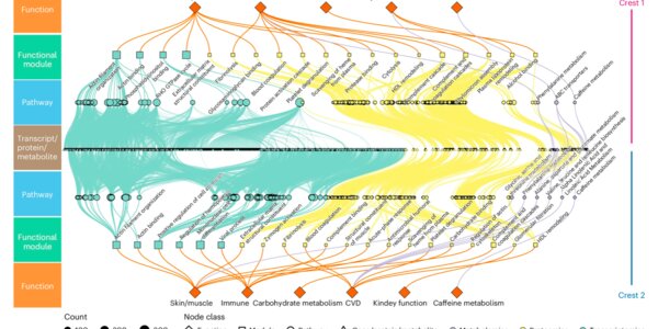 Humans Age In Two Bursts, At 44 And 60 - article teaser image